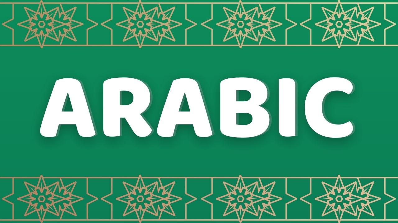 Best Arabic Flashcard Decks 2024