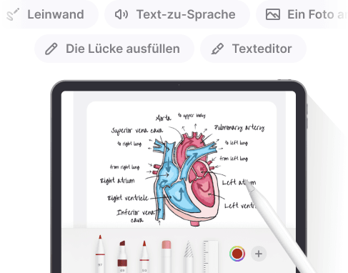 Erstelle Karteikarten, wie du möchtest