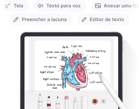 Crie flashcards do jeito que você quiser