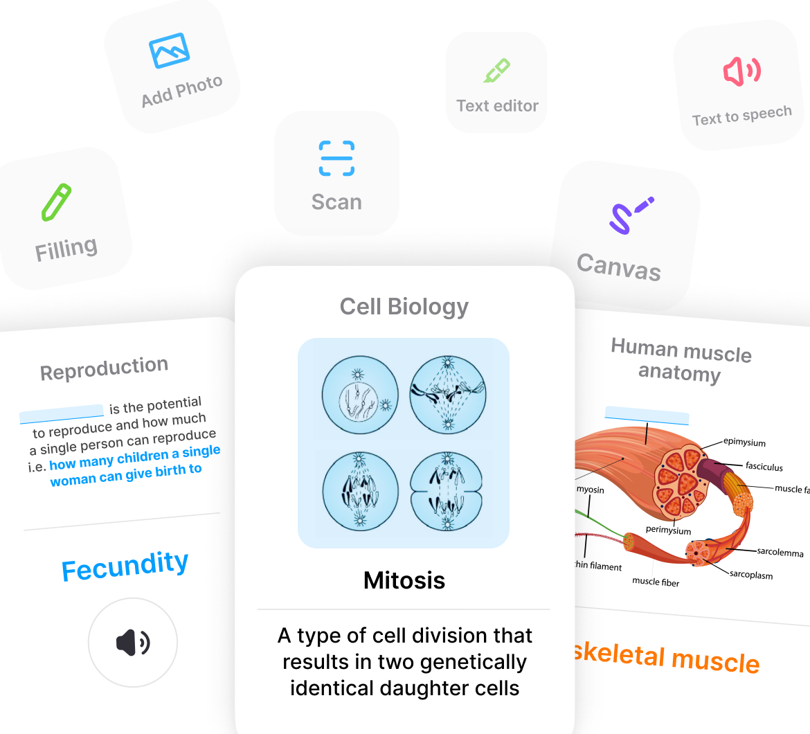 Customize Medical Flashcards